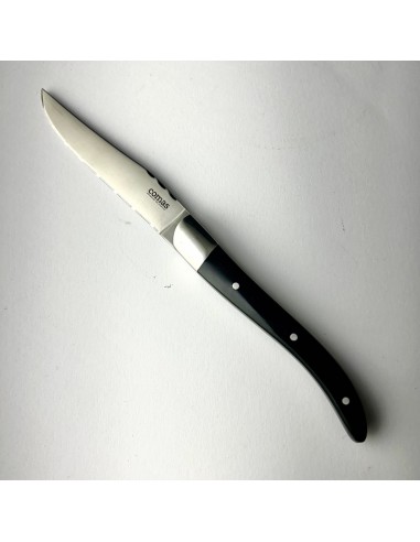 COLTELLO BISTECCA ACRILICO NEGRO 3010